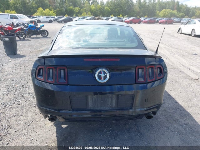 1ZVBP8AM7E5230162 Ford Mustang