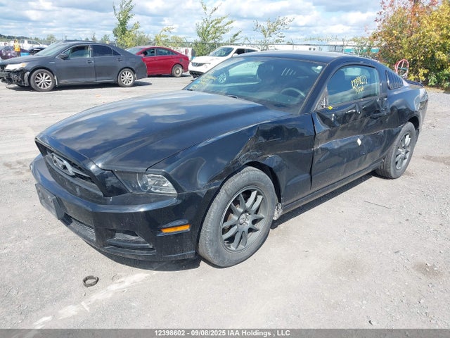 1ZVBP8AM7E5230162 Ford Mustang
