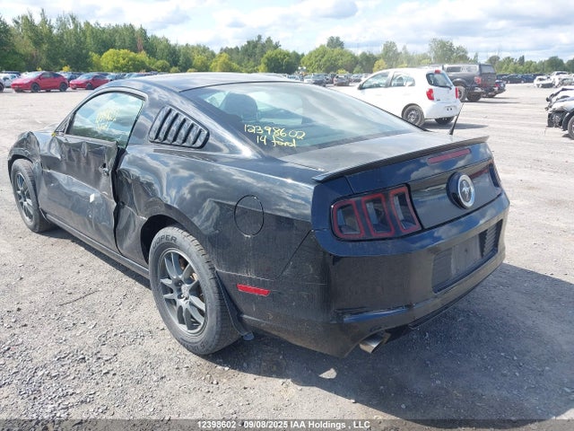 1ZVBP8AM7E5230162 Ford Mustang