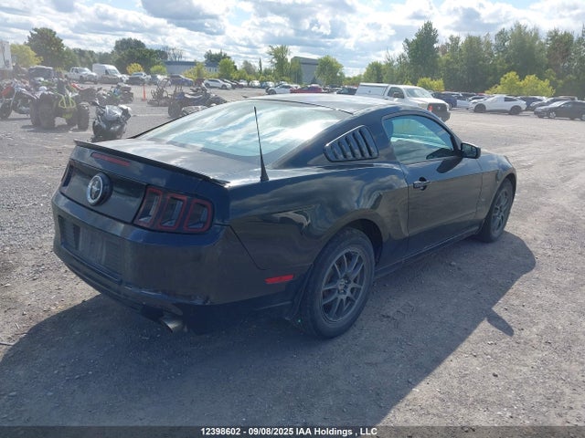 1ZVBP8AM7E5230162 Ford Mustang