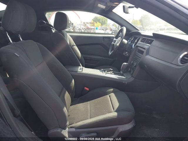 1ZVBP8AM7E5230162 Ford Mustang