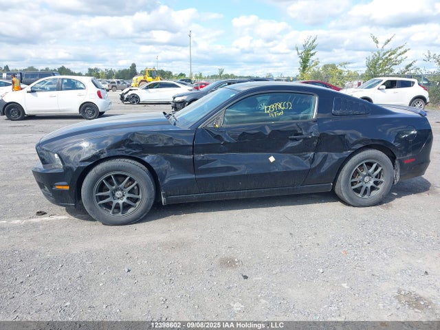 1ZVBP8AM7E5230162 Ford Mustang