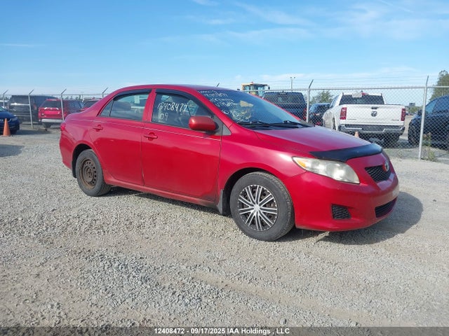 Продаж на аукціоні авто 2009 Toyota Corolla Ce, vin: 2T1BU40E99C186396, номер лоту: 12408472