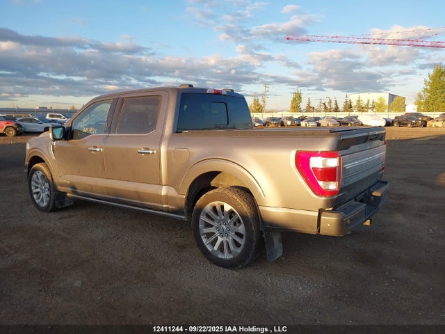 Ford hev 2021 1FTFW1EDXMFA93641 Image 3