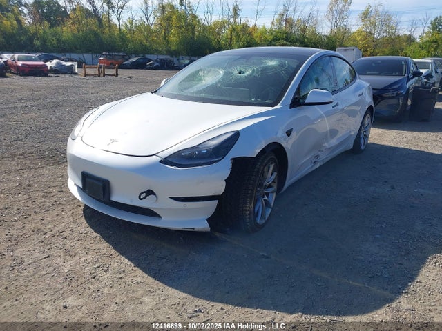 Tesla MODEL 3 2021 5YJ3E1EA3MF058780 Image 2