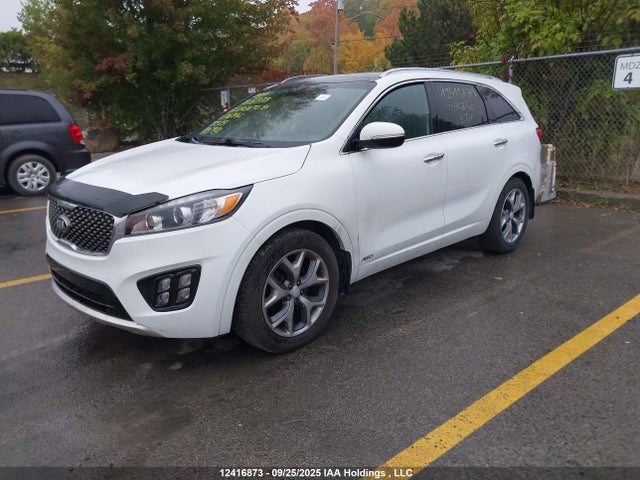 KIA Sorento 2017 5XYPKDA15HG314840 Image 2
