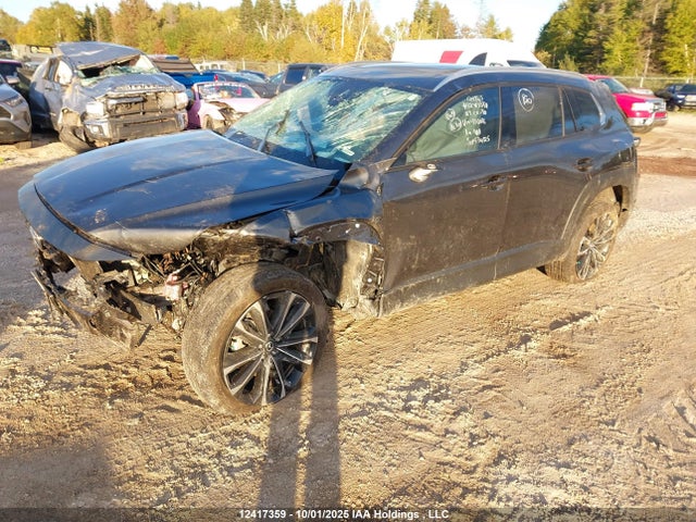 Продаж на аукціоні авто 2024 Mazda Cx-50 Premium, vin: 7MMVABDY6RN176016, номер лоту: 12417359