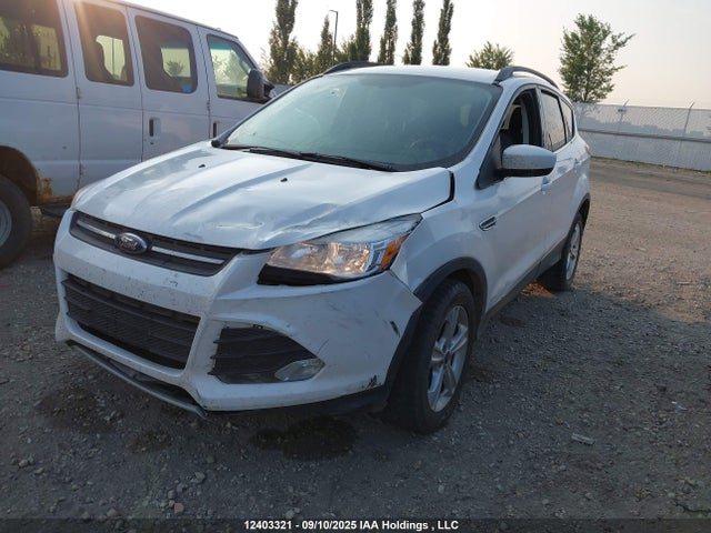 1FMCU9G9XEUC88244 Ford Escape