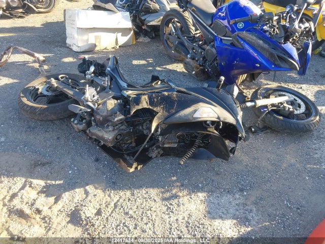 Kawasaki Ninja 300 2014 JKAEX8A17EA003495 Image 2