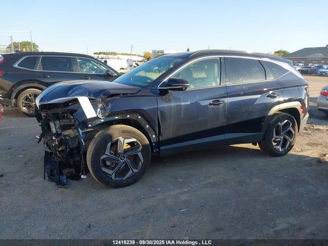 Aukcja sprzedaży 2024 Hyundai Tucson Sel Convenience, vin: KM8JCCD11RU185290, numer aukcji: 12418239
