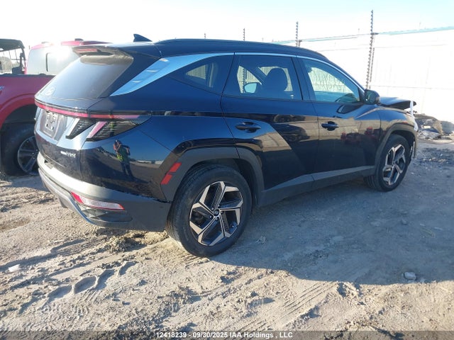 Aukcja sprzedaży 2024 Hyundai Tucson Sel Convenience, vin: KM8JCCD11RU185290, numer aukcji: 12418239
