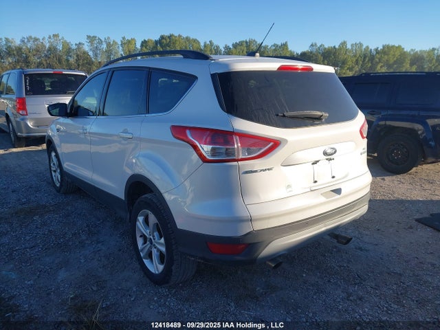 Ford Escape 2014 1FMCU0GX8EUE16538 Image 3