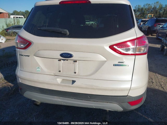 Ford Escape 2014 1FMCU0GX8EUE16538 Image 6