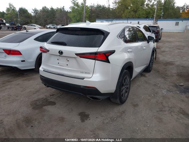 Lexus 8ar-fts 2019 JTJBARBZ5K2183020 Image 4