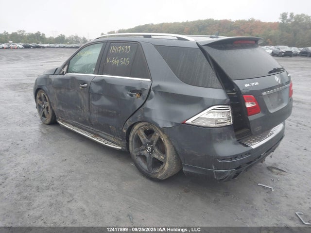 Mercedes-Benz 2015 2015 4JGDA2EB0FA564525 Image 3