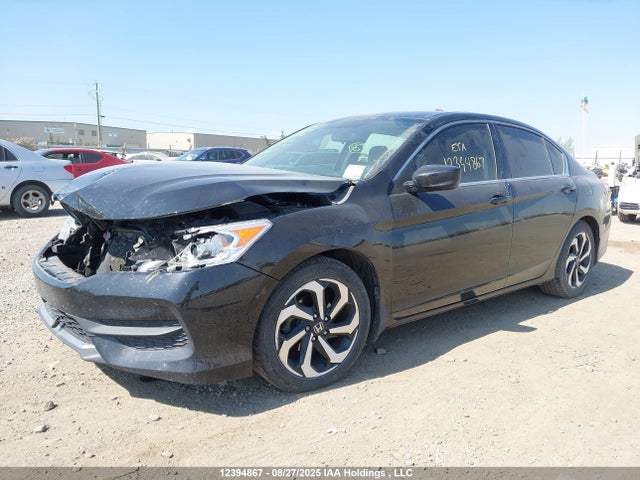 1HGCR2F39GA804691 Honda k24w1