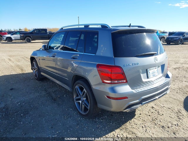 Mercedes-Benz 2015 2015 WDCGG0EB8FG435590 Image 3