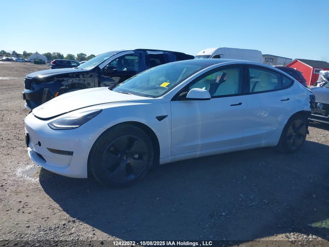 Tesla MODEL 3 2021 5YJ3E1EA4MF092744 Image 14