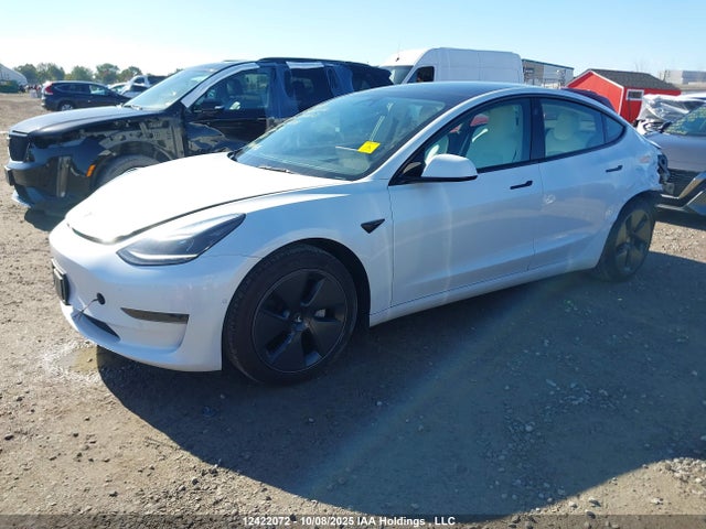 Tesla MODEL 3 2021 5YJ3E1EA4MF092744 Image 2
