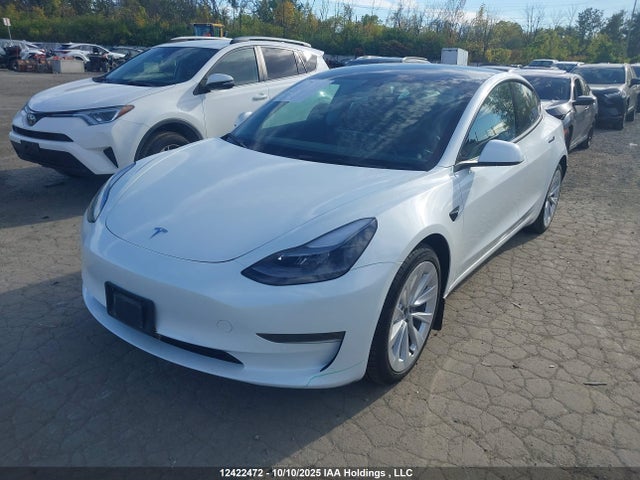 Tesla MODEL 3 2022 5YJ3E1EA1NF374129 Image 2