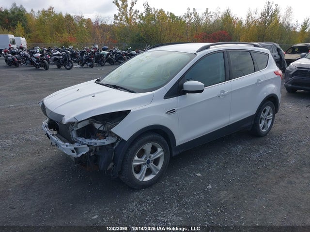 1FMCU0GX8GUB17568 Ford Escape