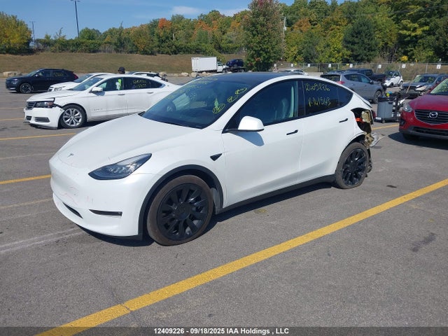 5YJYGDEE4MF141543 Tesla Model Y