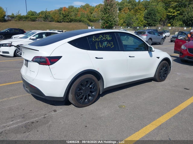 5YJYGDEE4MF141543 Tesla Model Y