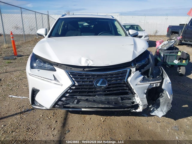 Lexus 8ar-fts 2019 JTJBARBZ3K2210652 Image 12
