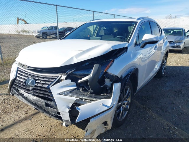Lexus 8ar-fts 2019 JTJBARBZ3K2210652 Image 2