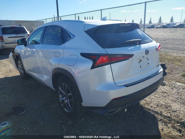 Lexus 8ar-fts 2019 JTJBARBZ3K2210652 Image 3