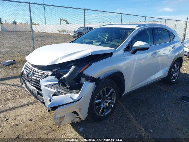 Lexus 8ar-fts 2019 JTJBARBZ3K2210652 Image 6