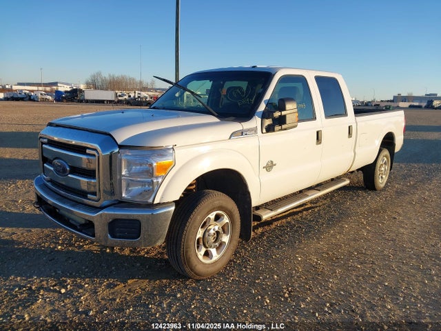 Auction sale of the 2014 Ford F350 Super Duty, vin: 1FT8W3BT8EEA44638, lot number: 12423963