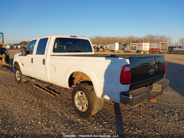 Auction sale of the 2014 Ford F350 Super Duty, vin: 1FT8W3BT8EEA44638, lot number: 12423963