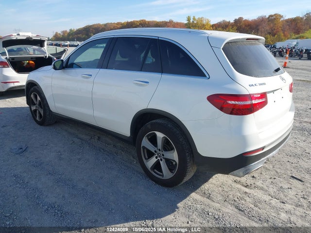WDC0G4KB3JV068387 Mercedes-Benz m274