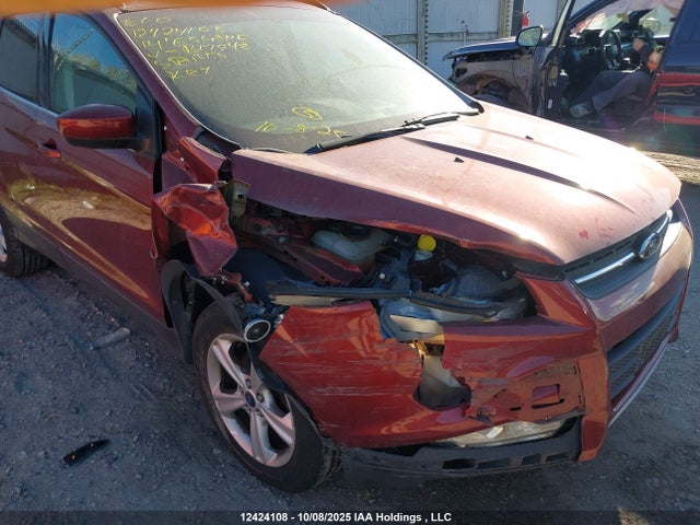 Ford 2014 2014 1FMCU0GX0EUB17948 Image 6