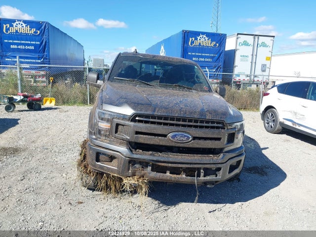 Ford 5.0l 4v 2019 1FTEW1E57KFA88026 Image 17