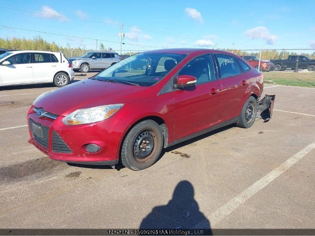 Ford FOCUS SE 2014 1FADP3F26EL385129 Image 16