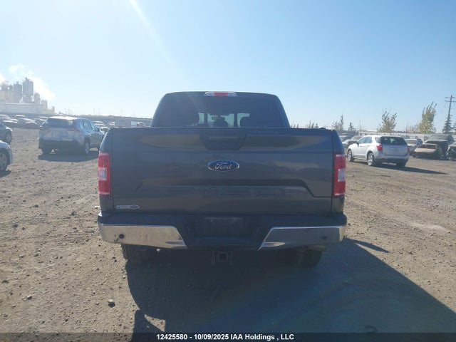 1FTEW1E51JKE04882 Ford F-150 Xlt