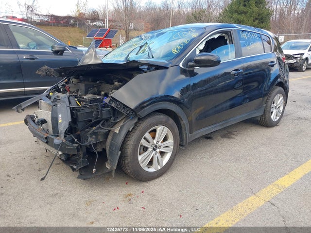 Aukcja sprzedaży 2019 Kia Sportage, vin: KNDPM3AC4K7536036, numer aukcji: 12425773