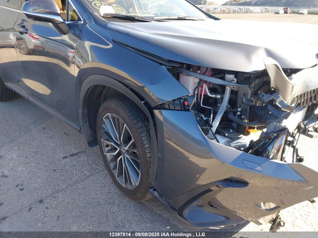 Lexus a25a-fxs 2025 2T2GKCEZ9SC048148 Image 12