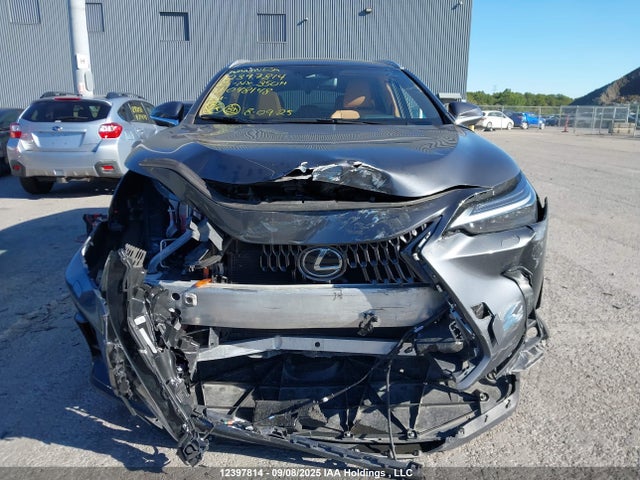 Lexus a25a-fxs 2025 2T2GKCEZ9SC048148 Image 13