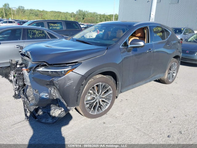 Lexus a25a-fxs 2025 2T2GKCEZ9SC048148 Image 2