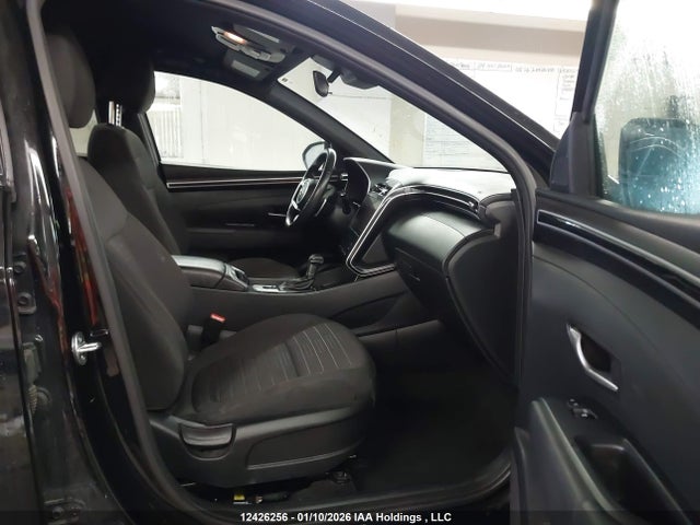 12426256 :رقم المزاد ، 5NTJCDAF9PH069600 vin ، 2023 Hyundai Santa Cruz Night مزاد بيع