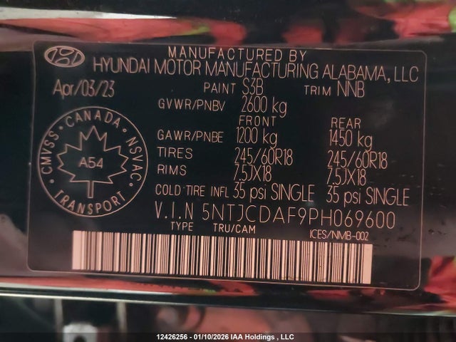 12426256 :رقم المزاد ، 5NTJCDAF9PH069600 vin ، 2023 Hyundai Santa Cruz Night مزاد بيع