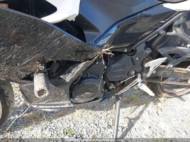 Kawasaki EX400 2018 JKAEXKG13JDA10914 Image 17
