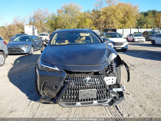 2025 Lexus Nx 350h 350h მანქანა იყიდება აუქციონზე, vin: 2T2GKCEZ0SC052394, აუქციონის ნომერი: 12427086