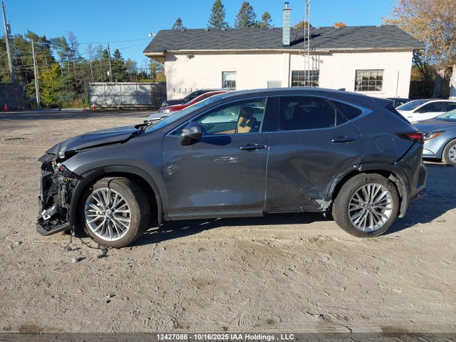 2025 Lexus Nx 350h 350h მანქანა იყიდება აუქციონზე, vin: 2T2GKCEZ0SC052394, აუქციონის ნომერი: 12427086