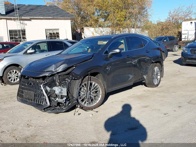 2025 Lexus Nx 350h 350h მანქანა იყიდება აუქციონზე, vin: 2T2GKCEZ0SC052394, აუქციონის ნომერი: 12427086