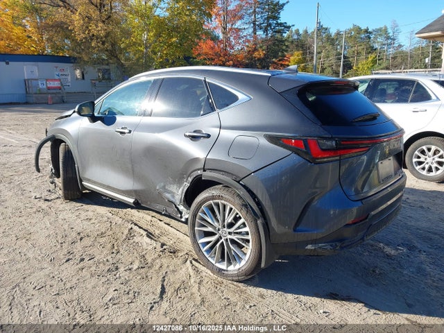 2025 Lexus Nx 350h 350h მანქანა იყიდება აუქციონზე, vin: 2T2GKCEZ0SC052394, აუქციონის ნომერი: 12427086