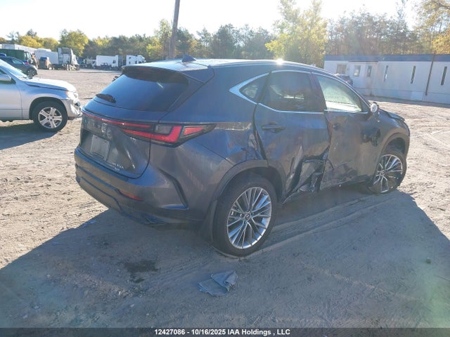 2025 Lexus Nx 350h 350h მანქანა იყიდება აუქციონზე, vin: 2T2GKCEZ0SC052394, აუქციონის ნომერი: 12427086